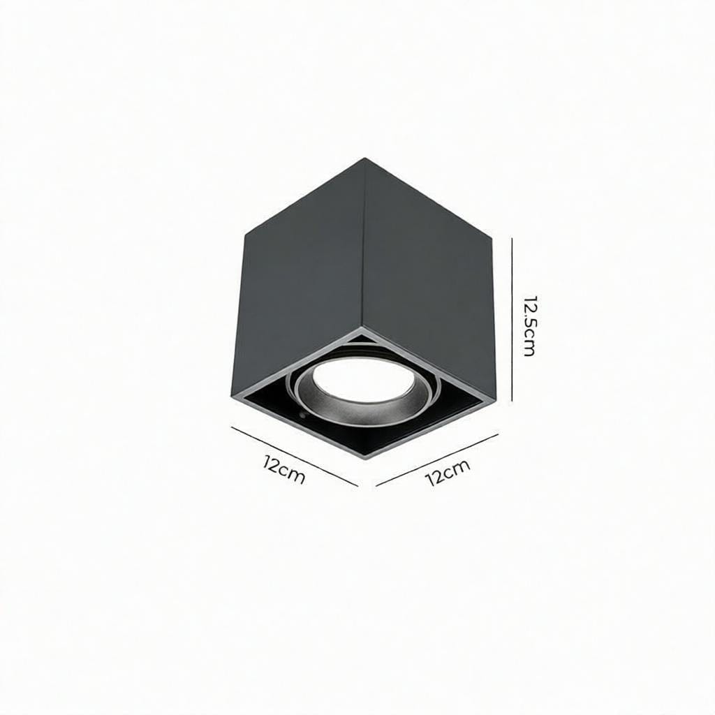 Luravynor Deux | Surface Mounted Light