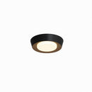 Haugrud | Ceiling Mounted Light