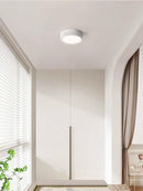 Lorvinthera | Surface Mounted Light