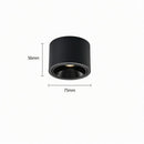 Jonvaleriae | Surface Mounted Light