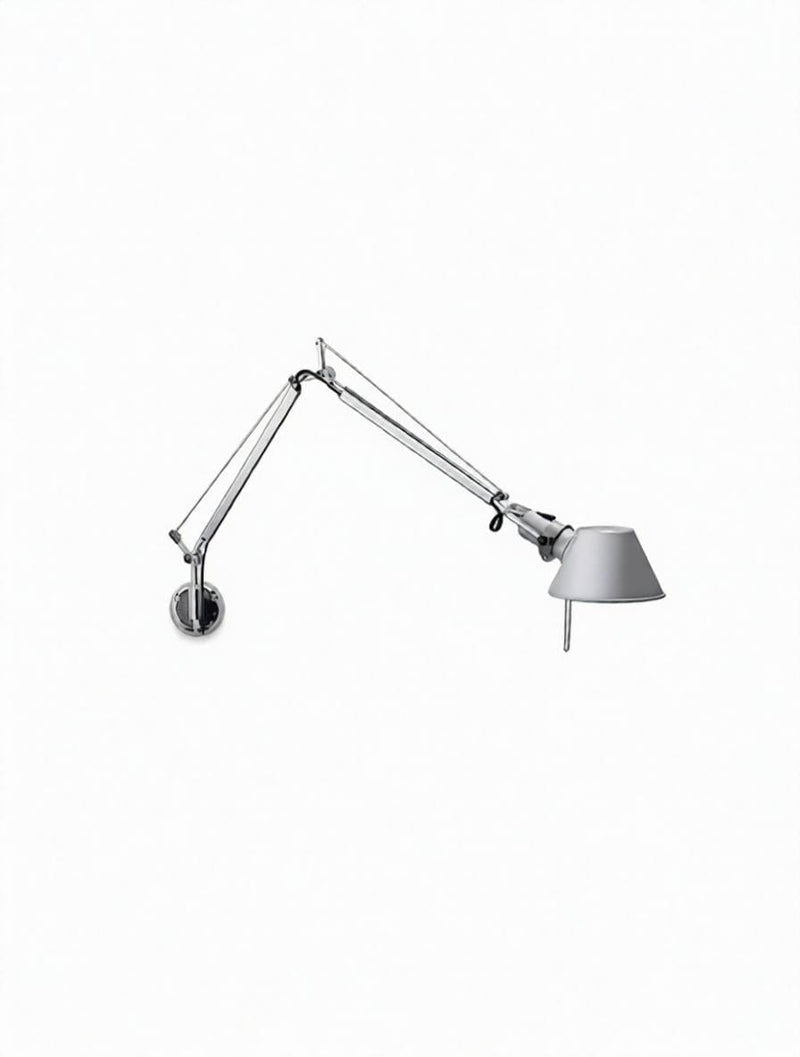 Briselle | Wall Light Swing Arm
