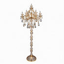 Daryntha I Crystal Floor Lamp