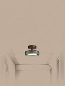 Quenlin | Semi Flush Mounted Light