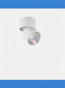 Lyrvenoria | Surface Mounted Light