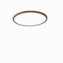 Vaenile | Ceiling Mounted Light