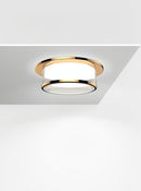 Sylaranthira | Surface Mounted Light