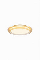 Fenelira I Retro Ceiling Mounted Light