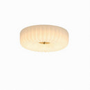 Olshan | Ceiling Mounted Light