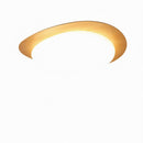 Trelisun | Ceiling Mounted Light