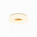 Lirianne | Ceiling Mounted Light