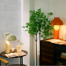 Morinwen I Table Lamp
