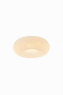 Valorina I Ceiling Mounted Light