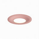 Elyvaris B | Ceiling Mounted Light