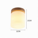 Iolwynn | Semi Flush Mounted Light