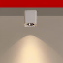 Norilveth | Surface Mounted Light