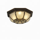 Syrenrae | Ceiling Mounted Light
