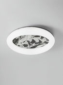 Fradin | Ceiling Mounted Light