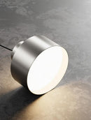 Elwynmire I Semi Flush Mounted Light