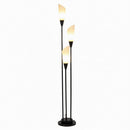 Haulcy | Floor Lamp