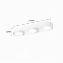 Aelaris | Surface Mounted Light