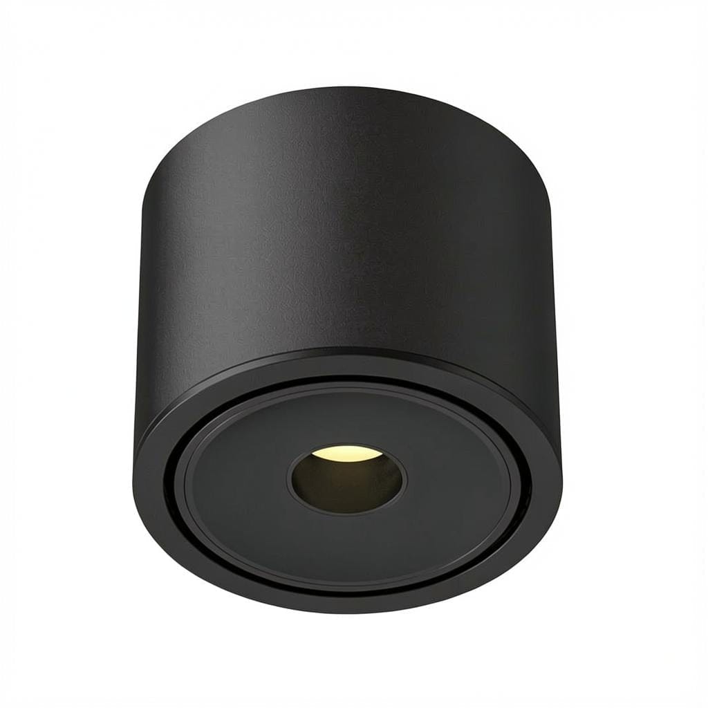 Ysolenyae Deux | Surface Mounted Light