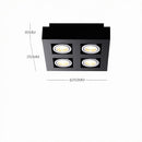 Ralvenith A | Surface Mounted Light