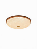 Daelina C | Ceiling Mounted Light
