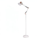 Borenzo | Floor Lamp Swing Arm