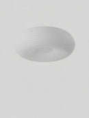 Valorina I Ceiling Mounted Light