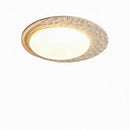 Elithyn | Ceiling Mounted Light