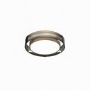 Ammirato | Ceiling Mounted Light
