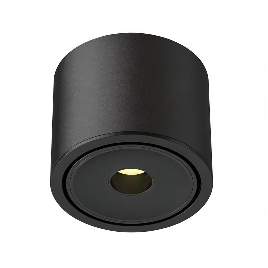 Ysolenyae Deux | Surface Mounted Light