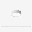 Lorvinthera | Surface Mounted Light