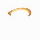 Trelisun | Ceiling Mounted Light