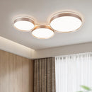 Paretti B | Ceiling Mounted Light