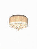 Obrenix | Ceiling Mounted Light