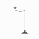Elwynnora B | Pendant Light