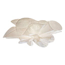 Elwena A | Ceiling Mounted Light