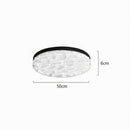 Nivayra | Ceiling Mounted Light