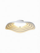 Mirrion | Ceiling Mounted Light