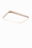 Paretti C | Ceiling Mounted Light