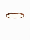 Silvanea | Ceiling Mounted Light