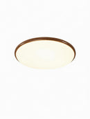 Sirenean C | Ceiling Mounted Light