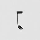 Talveniraen Deux | Track Light