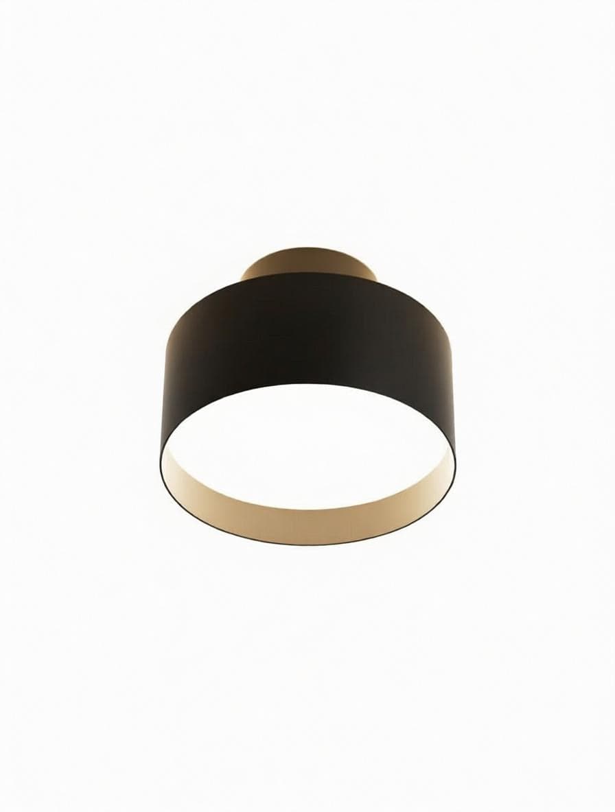 Elwynmire I Semi Flush Mounted Light