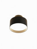 Elwynmire I Semi Flush Mounted Light