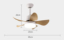 Frankel | Lighted Ceiling Fan