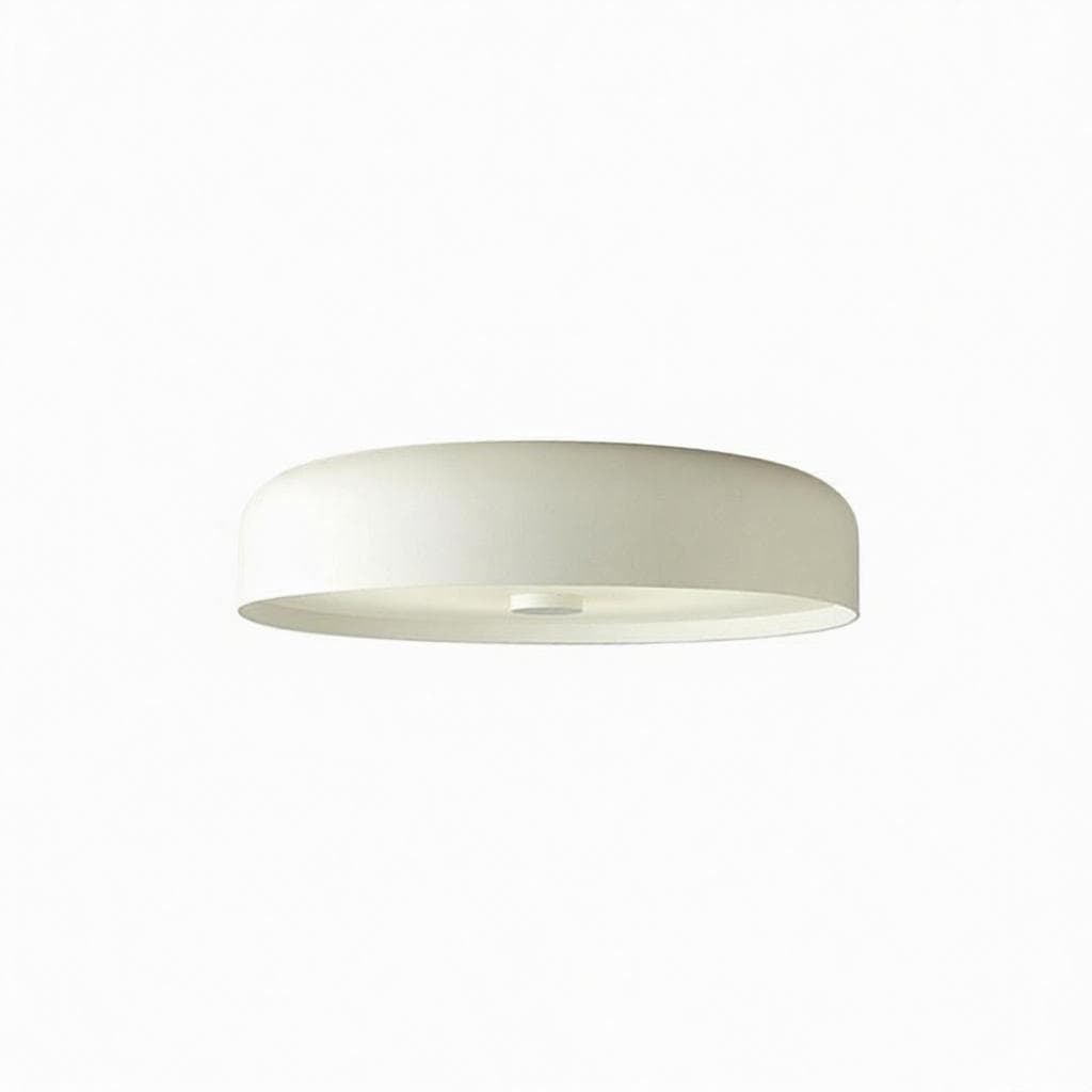 Discipio | Ceiling Mounted Light