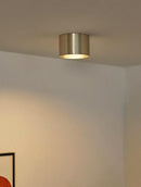 Aldriven I Retro Ceiling Mounted Light