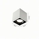 Luravynor Deux | Surface Mounted Light